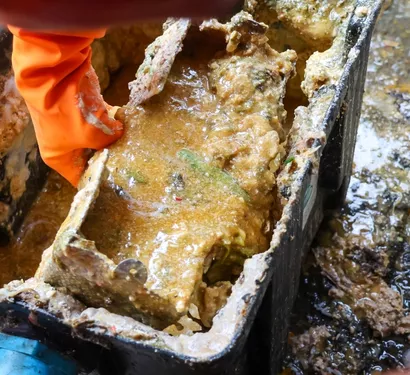 Removing grease buildup from a trap in Tempe