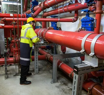 Plumber performing a routine inspection in Tempe